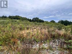 Lot #6 - 