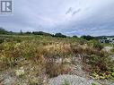 Lot #6 - Lot 6 Southside Place, Bay Roberts, NL 