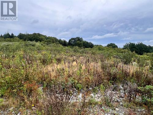 Lot #6 - Lot 6 Southside Place, Bay Roberts, NL 