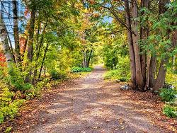 Behind the house - 