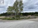 10 Northside Road, Eastport, NL 
