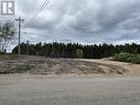 10 Northside Road, Eastport, NL 