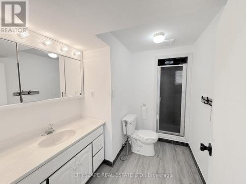 Basement 3-piece bathroom - 60 Hillview Drive, Newmarket, ON 