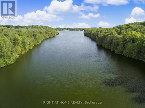 3 Riverside Trail, Trent Hills, ON 