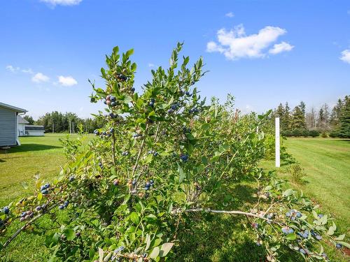 423 Mont Carmel Road, St. Raphael, PE 