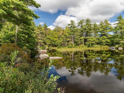 100 Whispering Pine Drive, Canaan, NS 