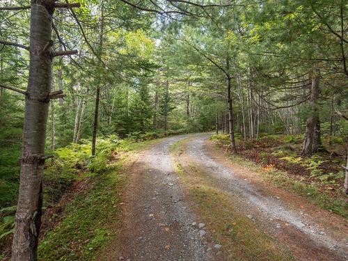 100 Whispering Pine Drive, Canaan, NS 