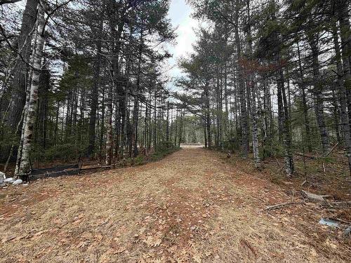 Lot 5 Upper Clyde Road, Upper Clyde River, NS 