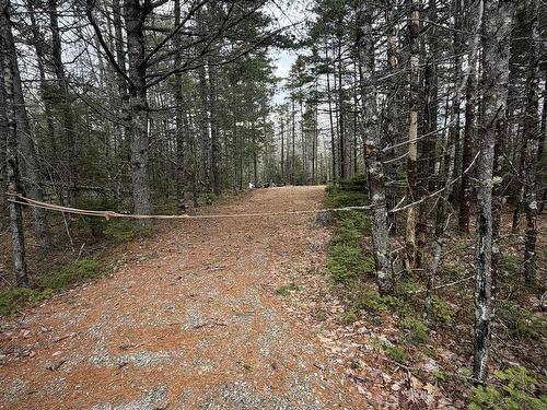Lot 5 Upper Clyde Road, Upper Clyde River, NS 