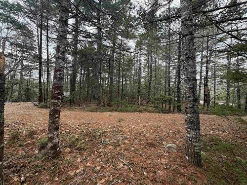 Lot 5 Upper Clyde Road, Upper Clyde River, NS 