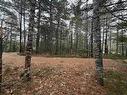 Lot 5 Upper Clyde Road, Upper Clyde River, NS 