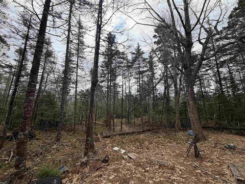 Lot 5 Upper Clyde Road, Upper Clyde River, NS 