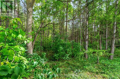 142 Milne Place, Guelph/Eramosa (Rockwood), ON 