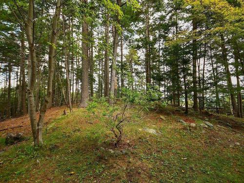 69 Amin Street, Bedford, NS 