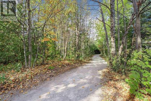 201 - 4 Brandy Lane Drive, Collingwood, ON 