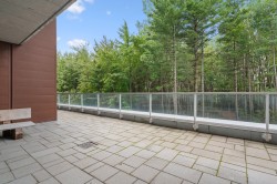 Terrasse - 