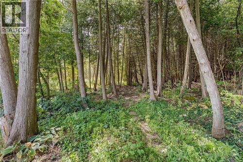 132 Elmore Drive, Acton, ON 