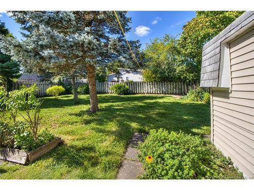 35 Vine, Moncton, NB 
