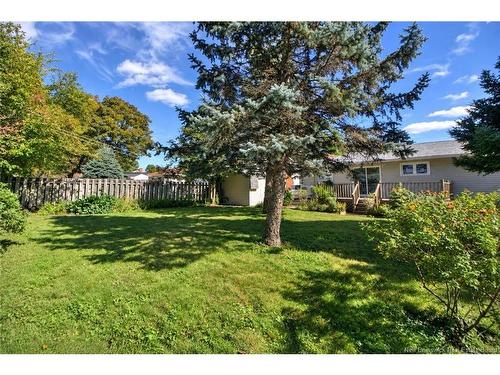 35 Vine, Moncton, NB 