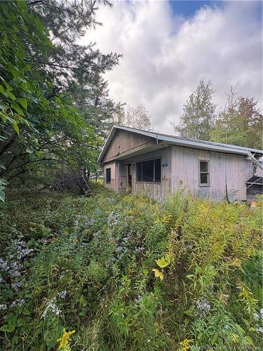 132 Taxis River Rd, Upper Miramichi, NB 