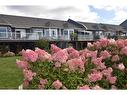 56 Waterford Lane, Fredericton, NB 