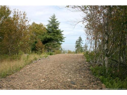 Lot 04-08 Seven Days Work Dr, Grand Manan, NB 