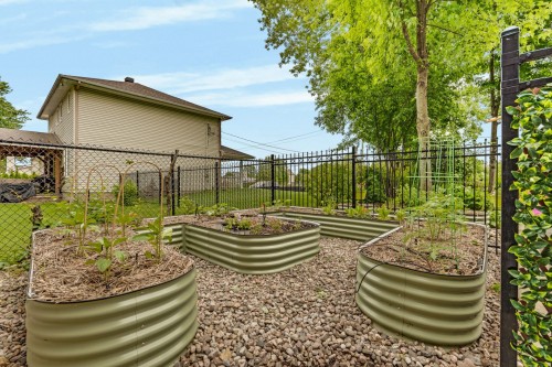 Jardin - 571 Ch. Mcconnell, Gatineau (Aylmer), QC 