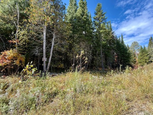 Lot - 54 Ch. Du Domaine-Évangeline, Saint-Fabien-De-Panet, QC 