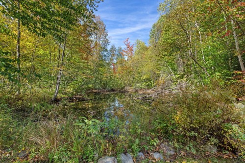Other - 24 Ch. Pierrette, Saint-Gabriel-De-Brandon, QC 