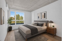Chambre à coucher principale - 