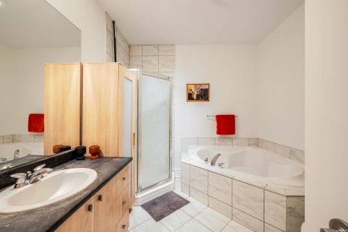 Salle de bains - 924 Rue Gilbert-Langevin, Montréal (Le Plateau-Mont-Royal), QC 