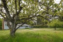2555 Departure Bay Rd, Nanaimo, BC 