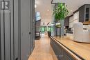 152 Sheldon Avenue, Toronto, ON 