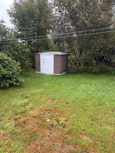 26 Mount Pleasant Avenue, St. John'S, NL 