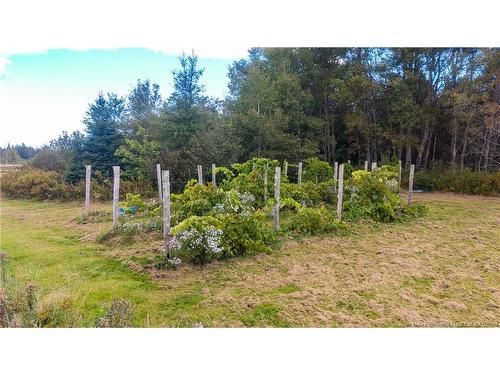 394 Collins Lake Rd, Shemogue, NB 
