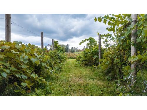 394 Collins Lake Rd, Shemogue, NB 