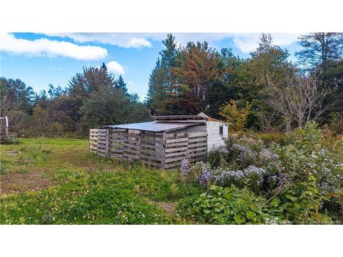 394 Collins Lake Rd, Shemogue, NB 