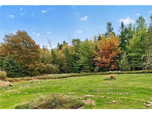 14 Salisbury Back Rd, Colpitts Settlement, NB 