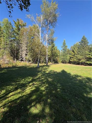 750 Back Rd, Lyttleton, NB 