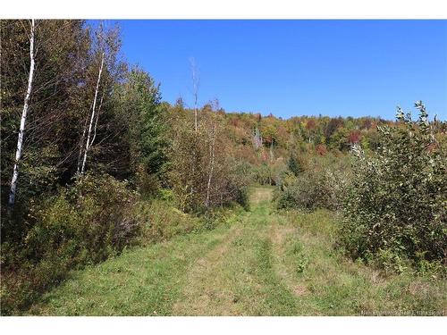 1703 Route 121, Norton, NB 