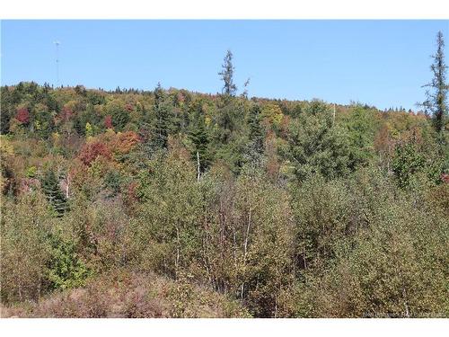 1703 Route 121, Norton, NB 