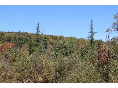 1703 Route 121, Norton, NB 