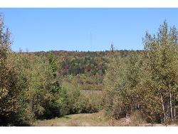 1703 Route 121 Norton, NB E5T 1P1