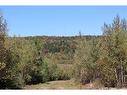 1703 Route 121, Norton, NB 