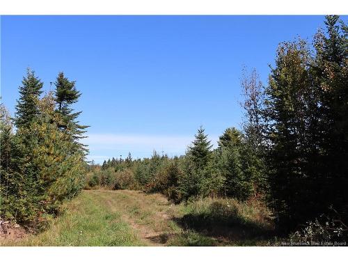 1703 Route 121, Norton, NB 