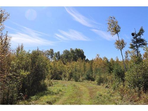 1703 Route 121, Norton, NB 