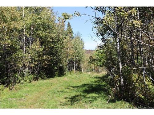 1703 Route 121, Norton, NB 