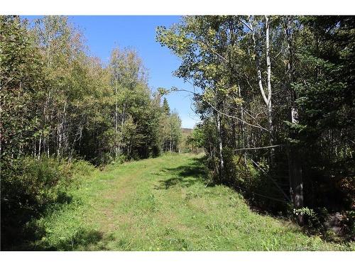 1703 Route 121, Norton, NB 