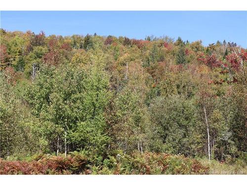 1703 Route 121, Norton, NB 