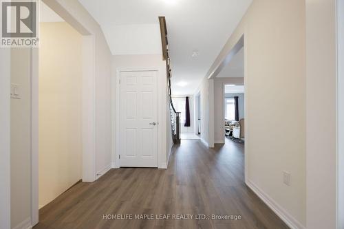 244 Warden Street, Clearview, ON 